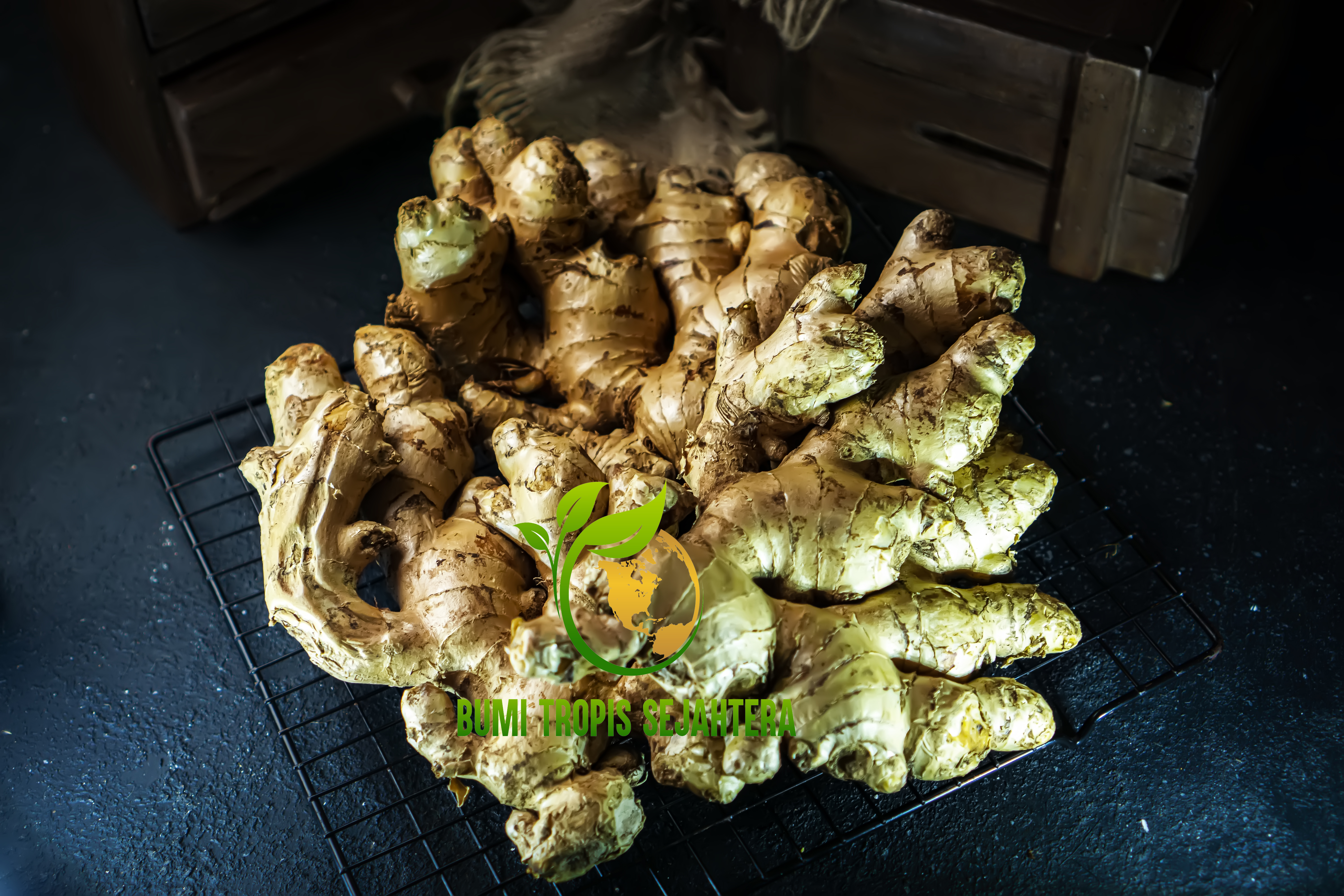 Plantation Scene BUMI TROPIS Indonesia